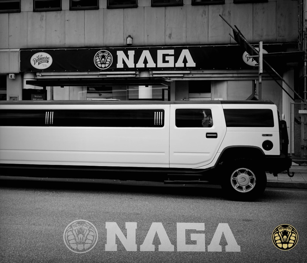 Naga Club Hamburg night — crowd and stage at Steintorwall 4